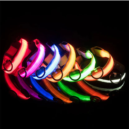 USB Rechargeable Luminous Collar Adjustable Led Glowing Dog Collar for Large Small Dogs Cat Night Light Collar Pet Safety Harness