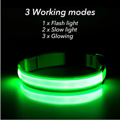 USB Rechargeable Luminous Collar Adjustable Led Glowing Dog Collar for Large Small Dogs Cat Night Light Collar Pet Safety Harness