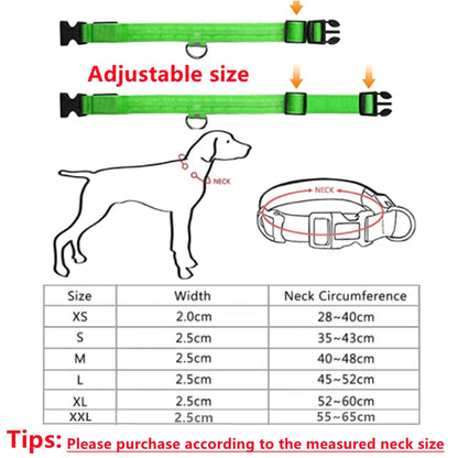 USB Rechargeable Luminous Collar Adjustable Led Glowing Dog Collar for Large Small Dogs Cat Night Light Collar Pet Safety Harness